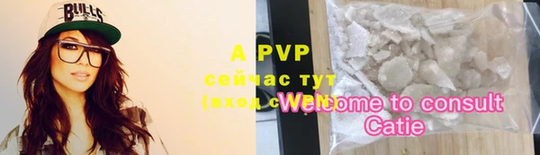 PSILOCYBIN Инсар