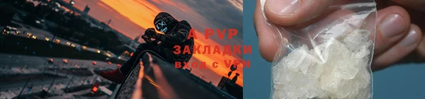 трава Зерноград