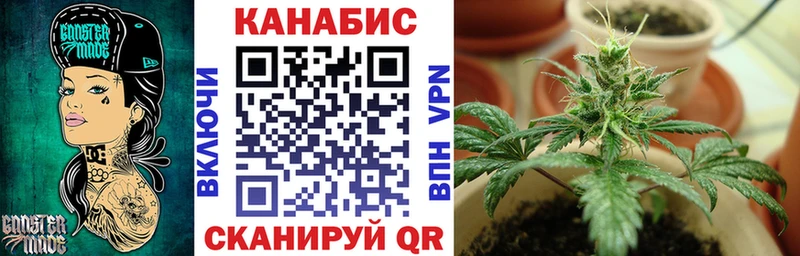Каннабис гибрид  Артём 